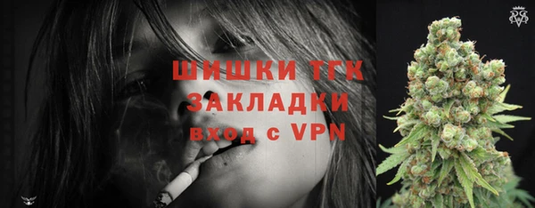 молекула духа Бородино