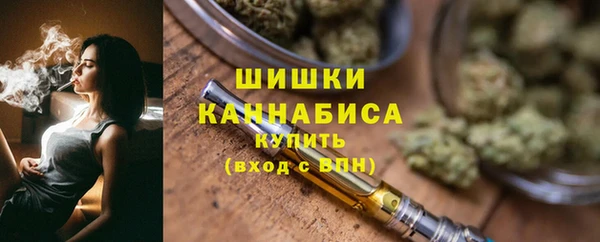 молекула духа Бородино