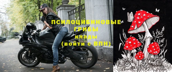 молекула духа Бородино