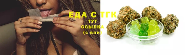 молекула духа Бородино