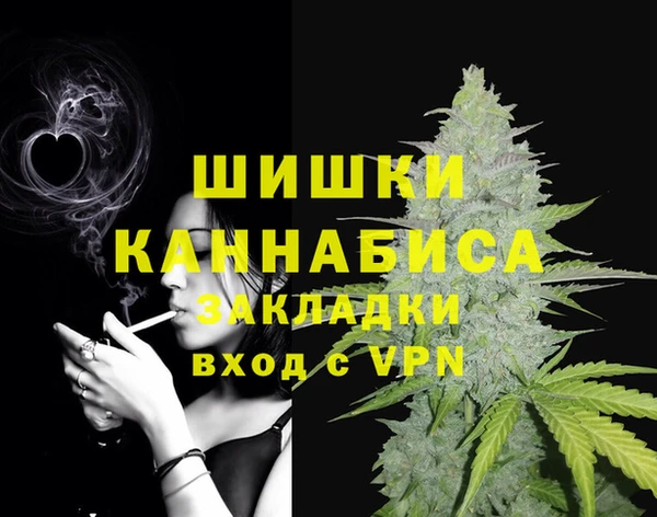 молекула духа Бородино