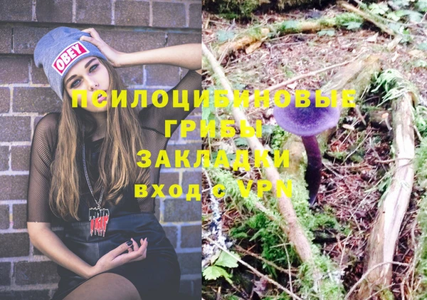 молекула духа Бородино