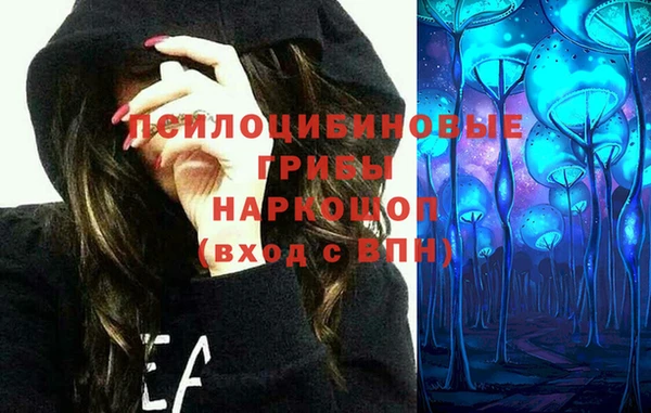 молекула духа Бородино